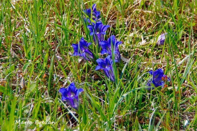 5. MAJ 2021 - foto