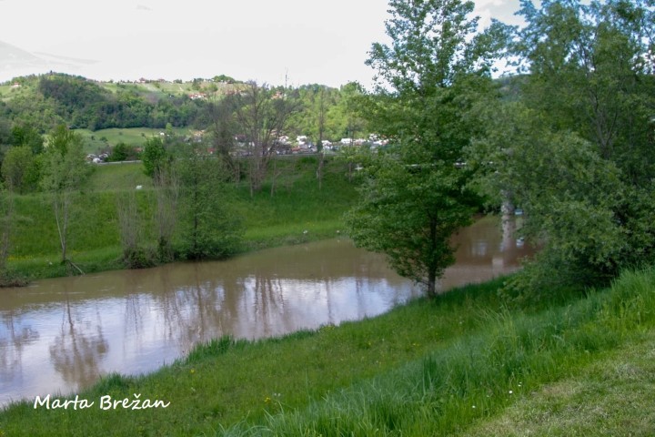 8. MAJ 2021 - foto povečava