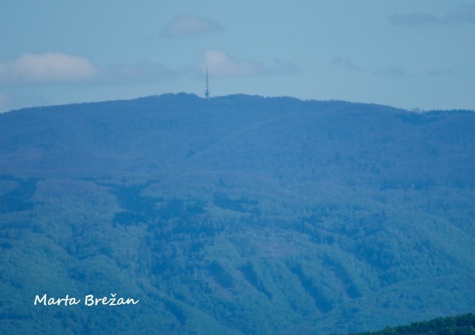 8. MAJ 2021 - foto povečava