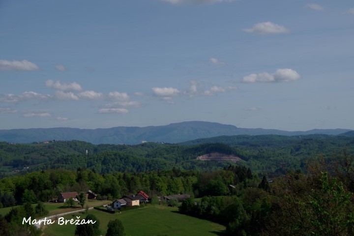 8. MAJ 2021 - foto povečava