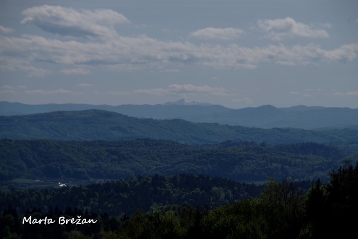 8. MAJ 2021 - foto povečava