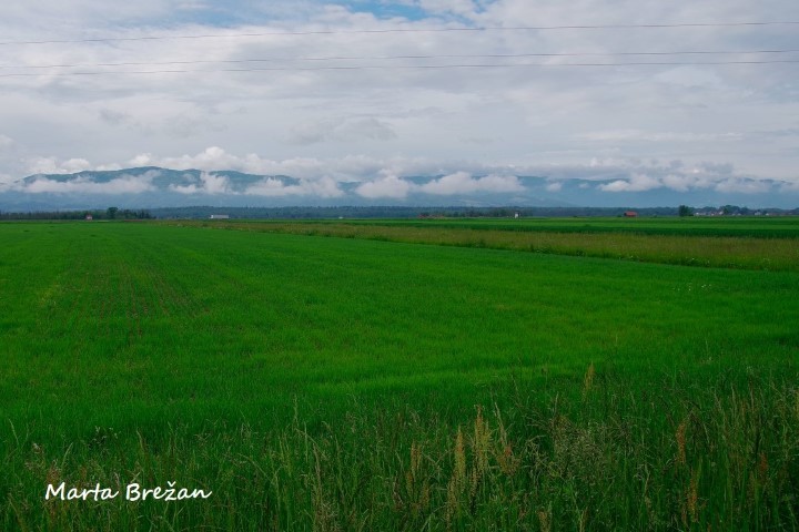 12. MAJ 2021 - foto povečava