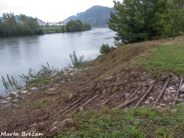 13. oktober 2021 - foto