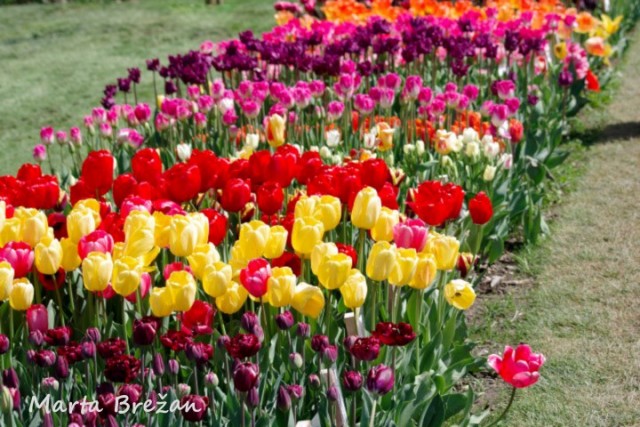 28. april 2022 - foto