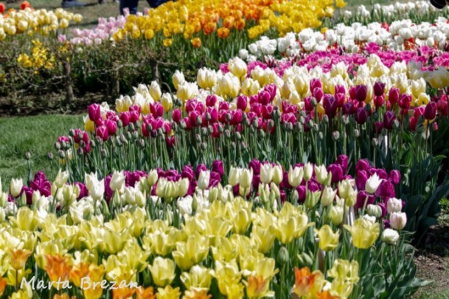 28. april 2022 - foto