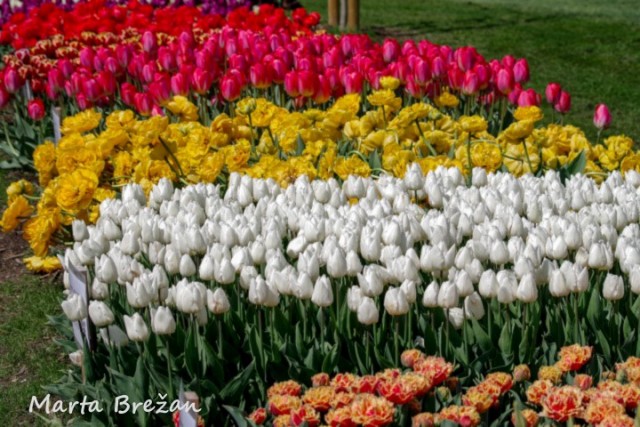 28. april 2022 - foto