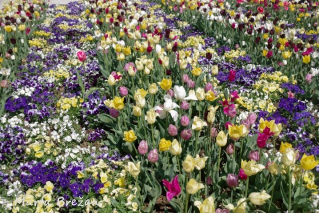 28. april 2022 - foto