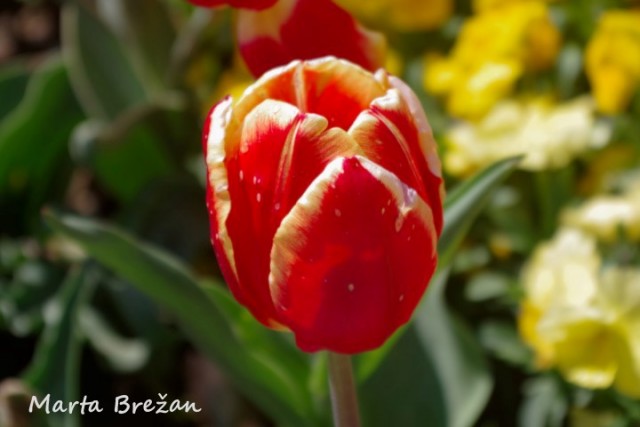 28. april 2022 - foto