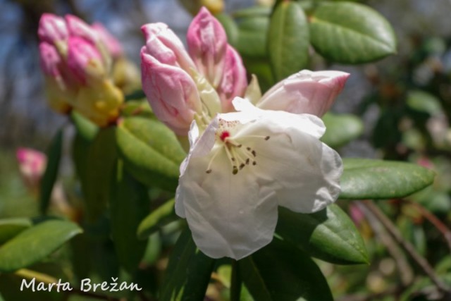 28. april 2022 - foto