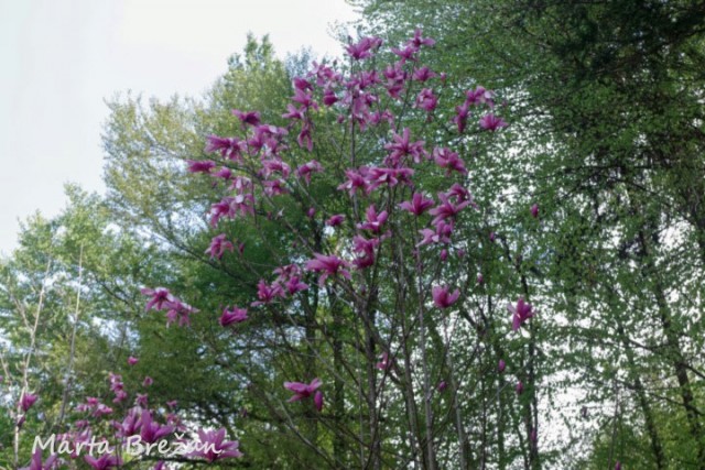 28. april 2022 - foto