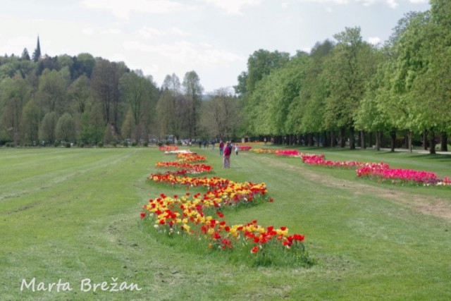 28. april 2022 - foto