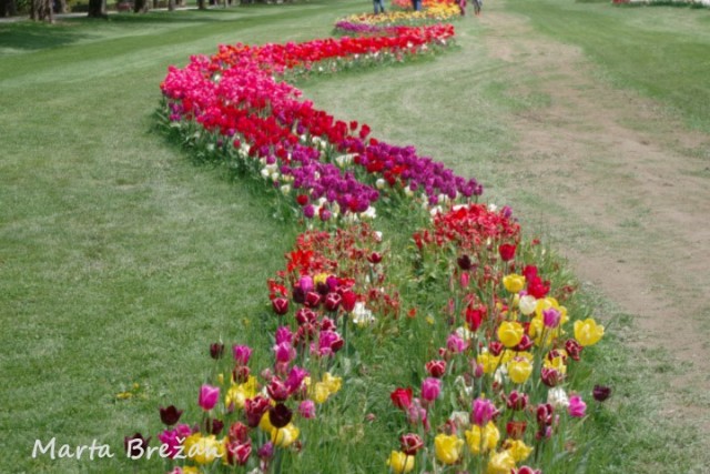 28. april 2022 - foto