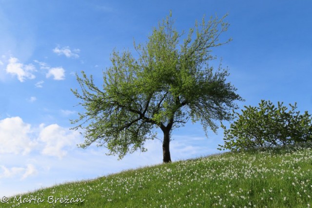 16. maj 2024 - foto