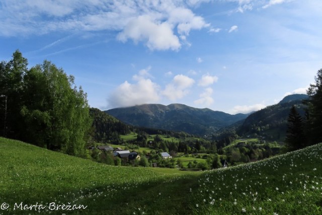 16. maj 2024 - foto