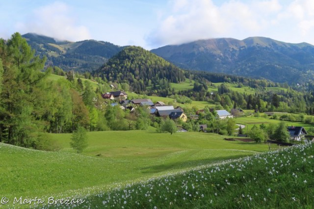 16. maj 2024 - foto