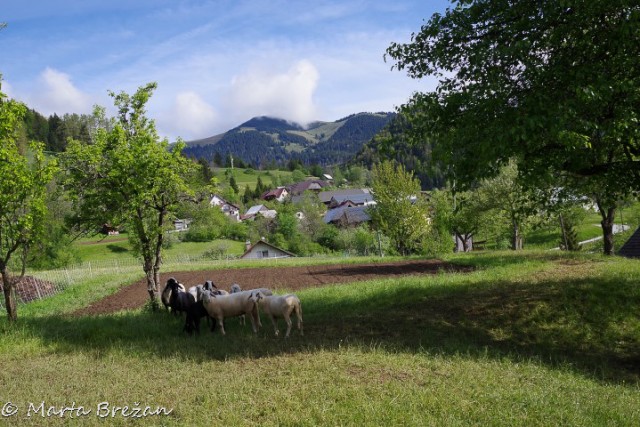 16. maj 2024 - foto