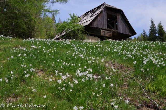 16. maj 2024 - foto