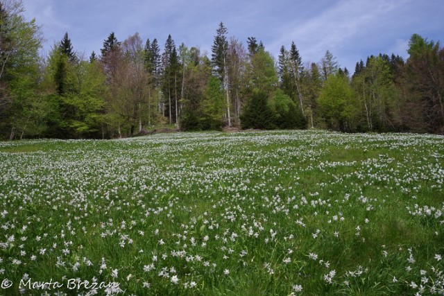 16. maj 2024 - foto