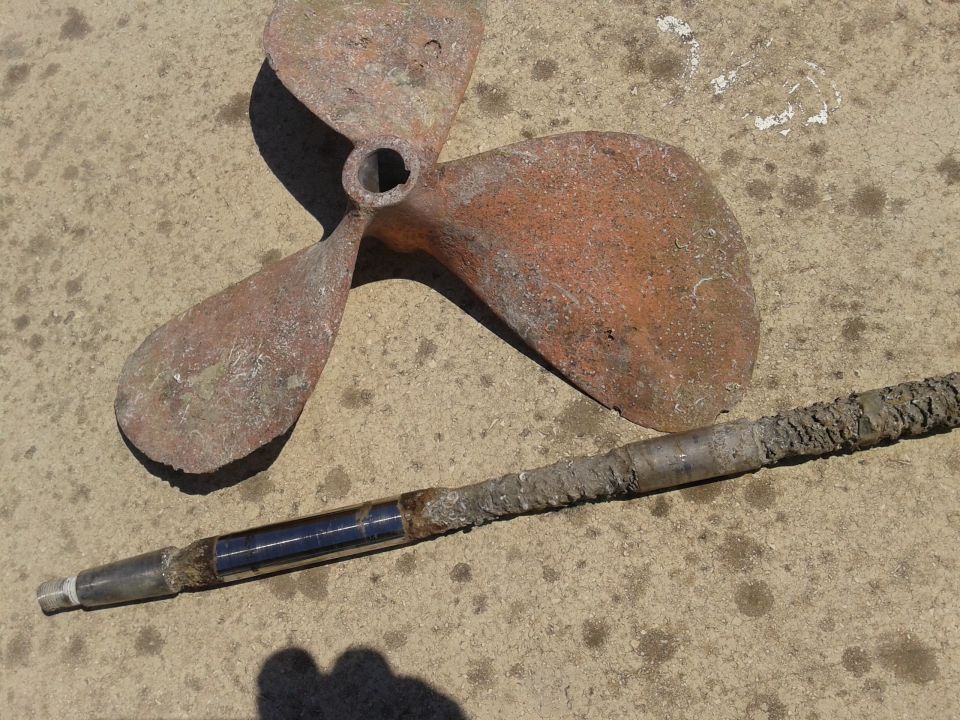 Os in propeler - foto povečava