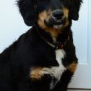 Lena