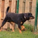 Oskar
