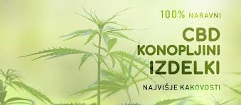 https:--cbdshop.club-hr-