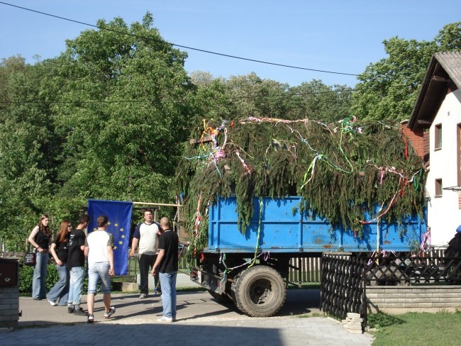 Regrutacija - foto povečava