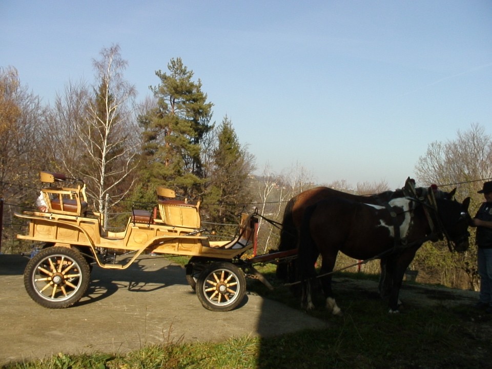 KONJI  B G 16.11.2008 - foto povečava