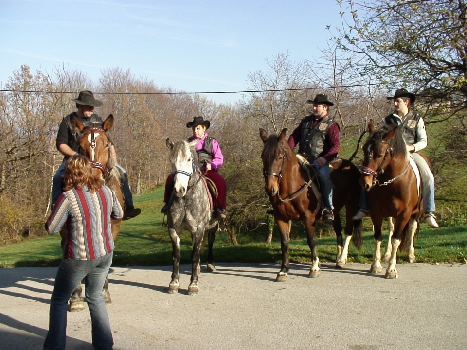 KONJI  B G 16.11.2008 - foto povečava