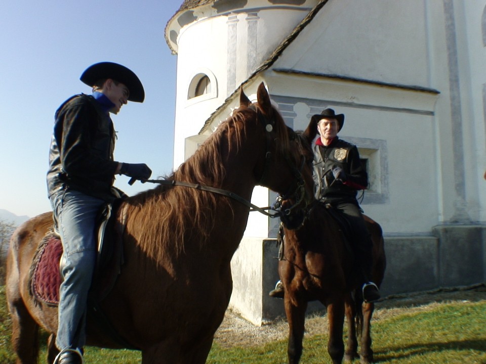 KONJI  B G 16.11.2008 - foto povečava