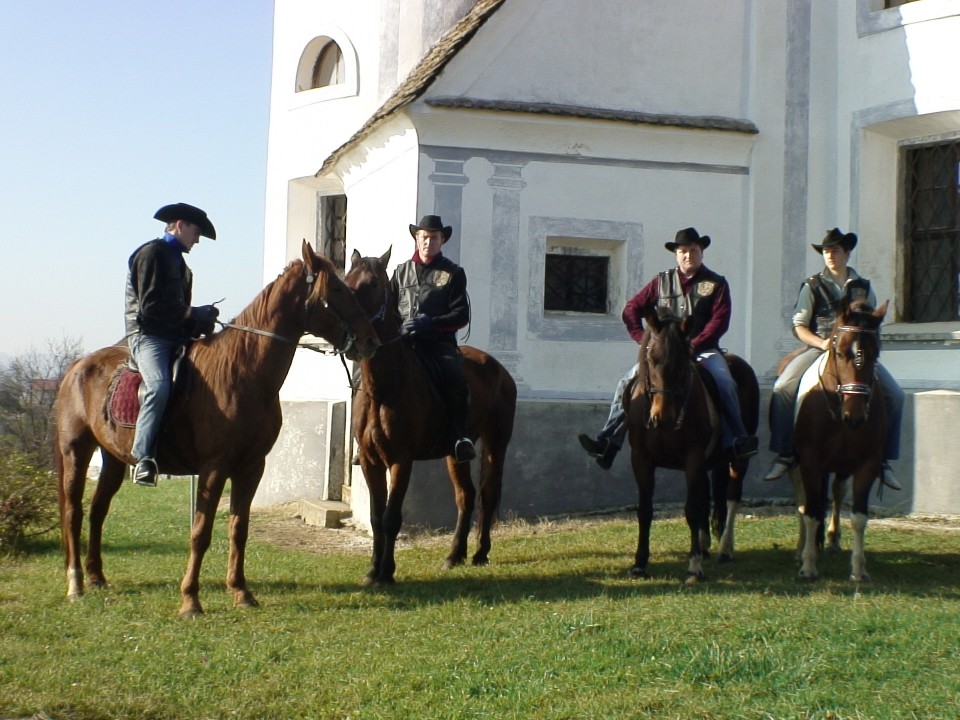 KONJI  B G 16.11.2008 - foto povečava