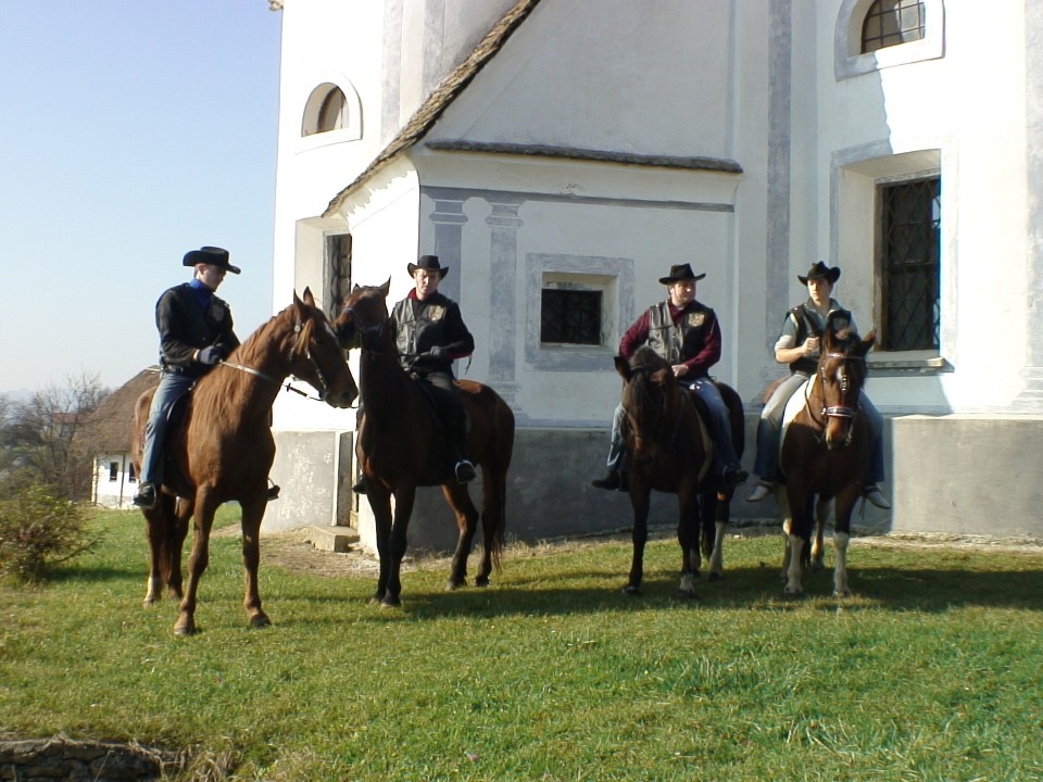 KONJI  B G 16.11.2008 - foto povečava