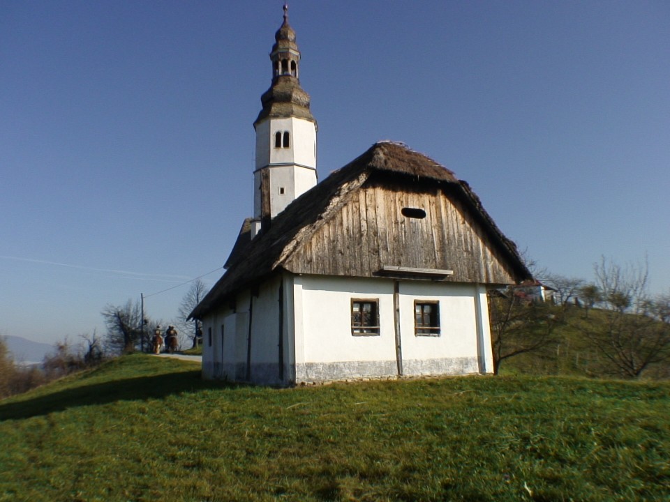 KONJI  B G 16.11.2008 - foto povečava