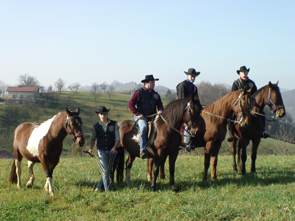 KONJI  B G 16.11.2008 - foto povečava