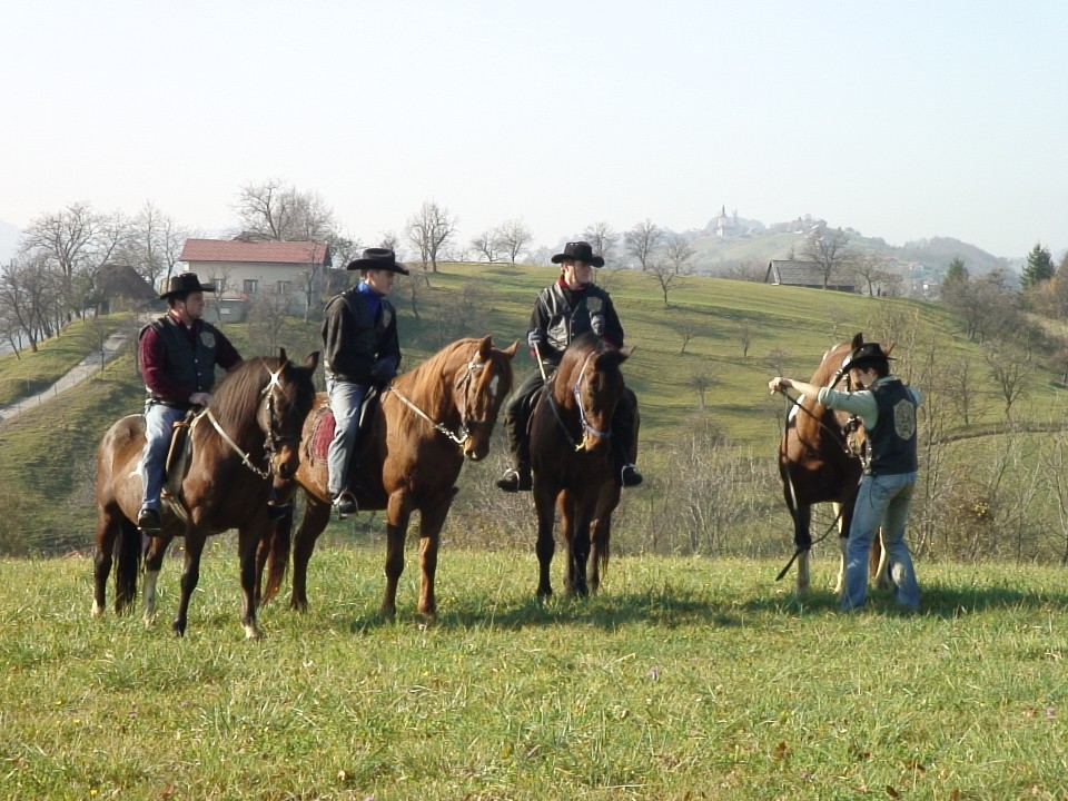 KONJI  B G 16.11.2008 - foto povečava