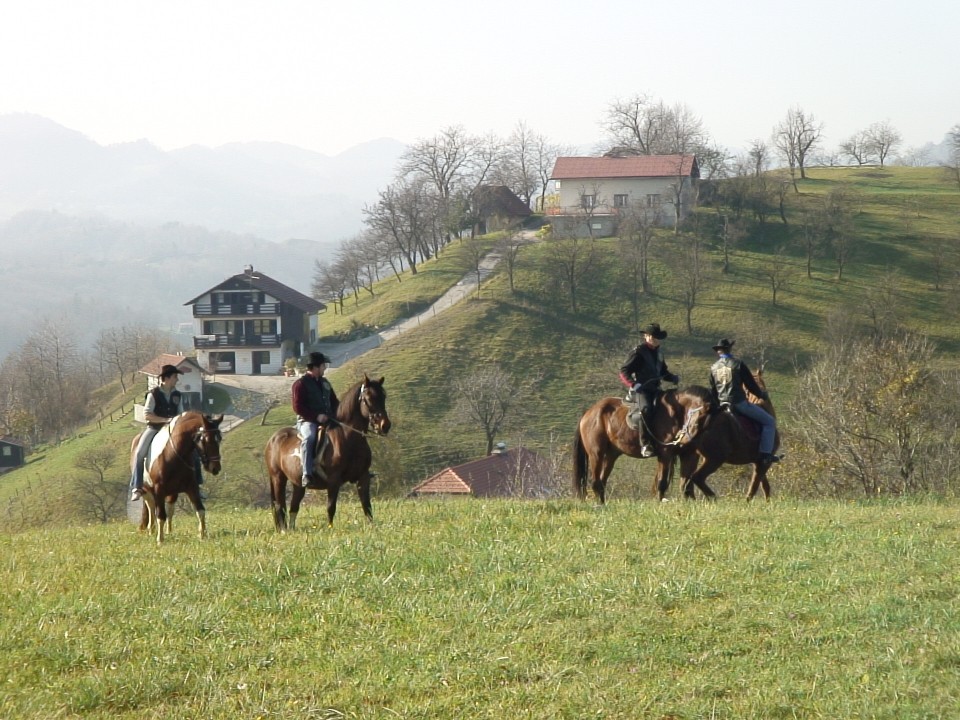 KONJI  B G 16.11.2008 - foto povečava