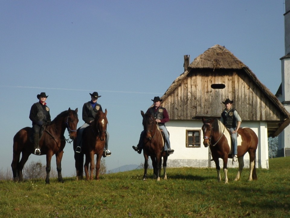 KONJI  B G 16.11.2008 - foto povečava