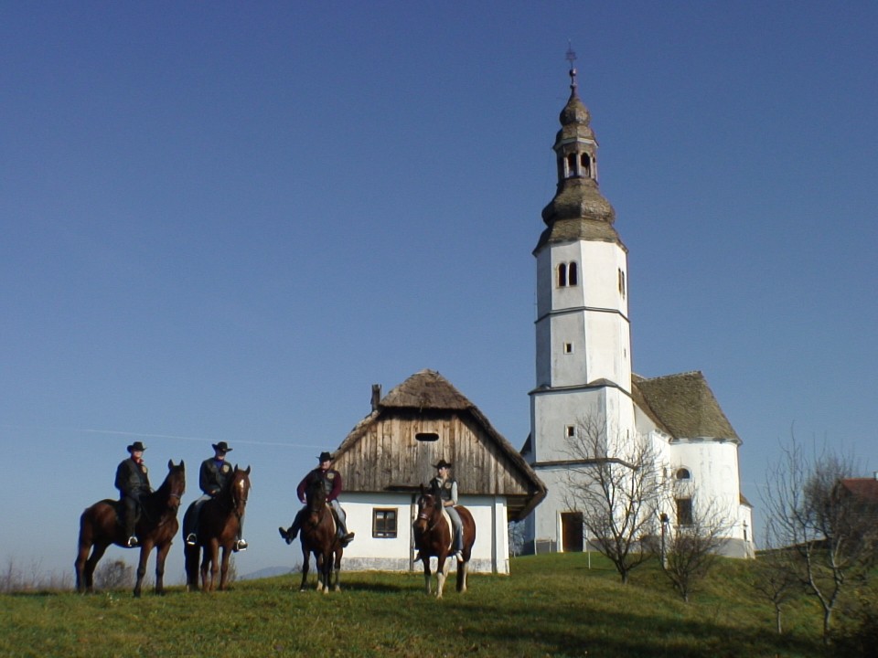 KONJI  B G 16.11.2008 - foto povečava