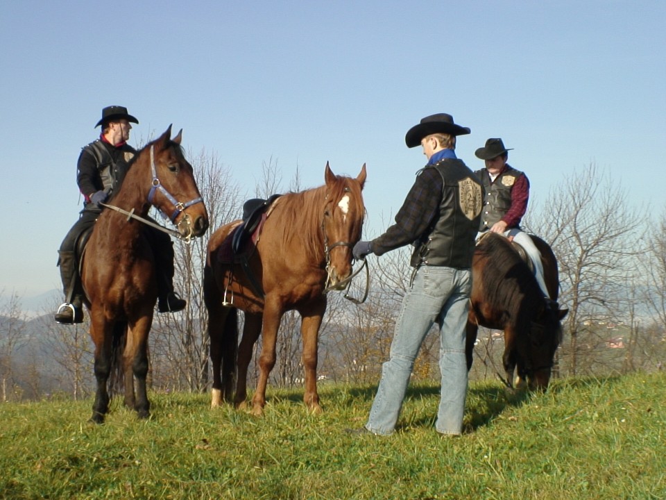 KONJI  B G 16.11.2008 - foto povečava