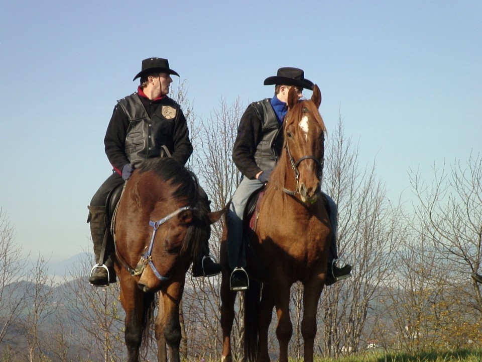 KONJI  B G 16.11.2008 - foto povečava