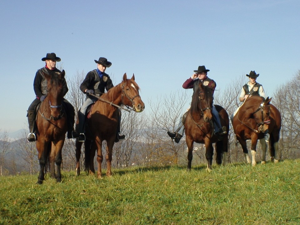 KONJI  B G 16.11.2008 - foto povečava