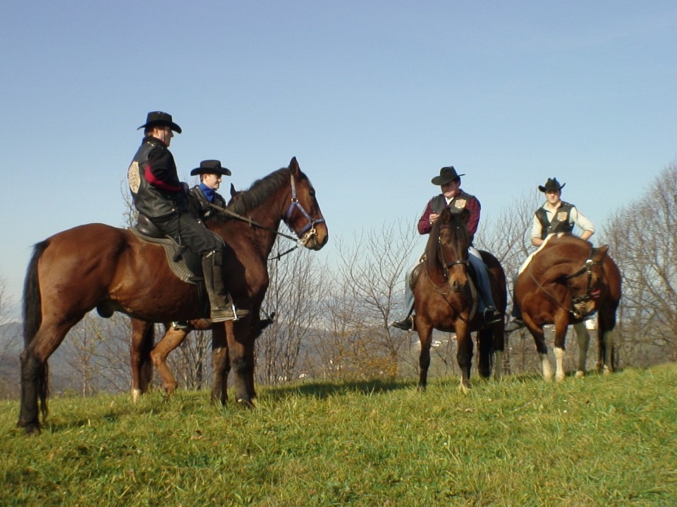 KONJI  B G 16.11.2008 - foto povečava