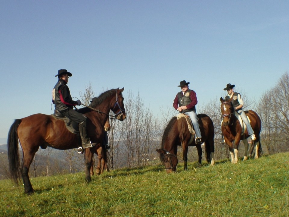 KONJI  B G 16.11.2008 - foto povečava