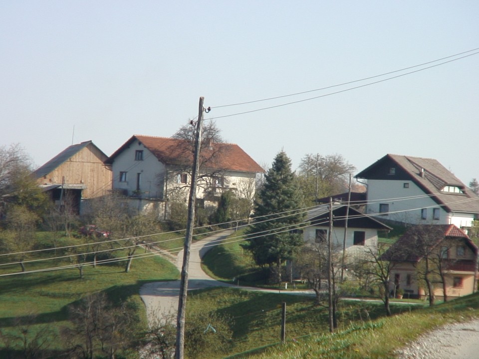 KONJI  B G 16.11.2008 - foto povečava