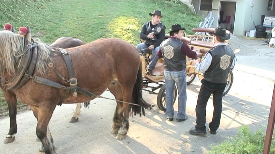 KONJI  B G 16.11.2008 - foto povečava