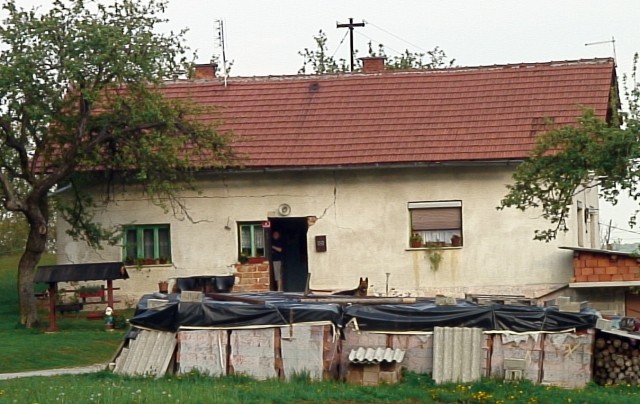 MLAJ 2009 - foto