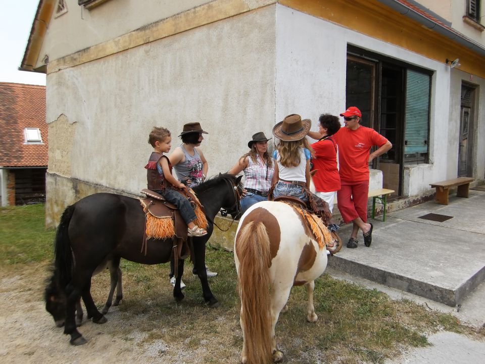 ŽEGNANJE KONJEV   SVETI ŠTEFAN  2010 - foto povečava