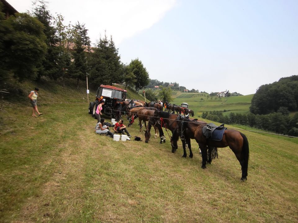 ŽEGNANJE KONJEV   SVETI ŠTEFAN  2010 - foto povečava