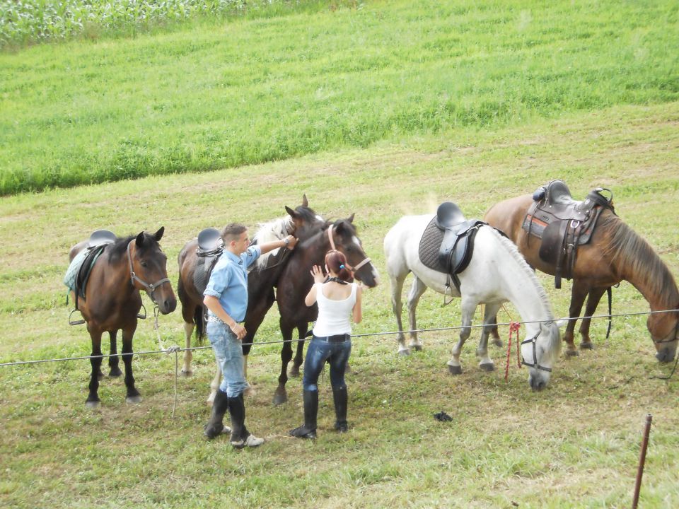 ŽEGNANJE KONJEV   SVETI ŠTEFAN  2010 - foto povečava