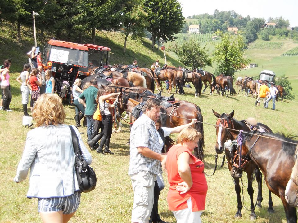 ŽEGNANJE KONJEV   SVETI ŠTEFAN  2010 - foto povečava